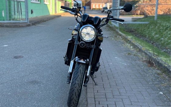 Neufahrzeug Kawasaki Z900 RS - Bild 14