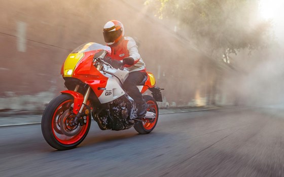 Neufahrzeug Yamaha XSR900 GP - Bild 2