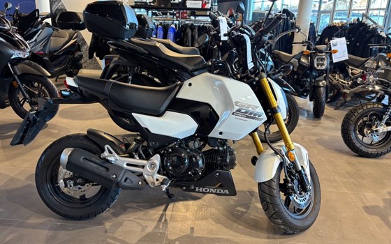 Gebrauchtmotorrad Honda MSX125 Grom - Bild 2
