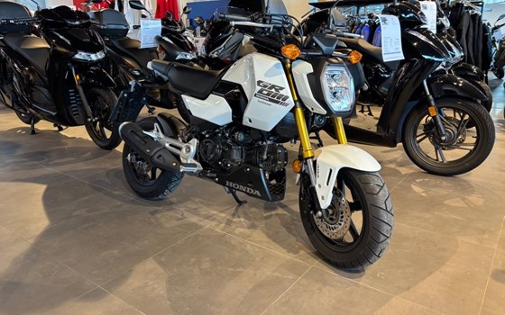 Gebrauchtmotorrad Honda MSX125 Grom - Bild 3