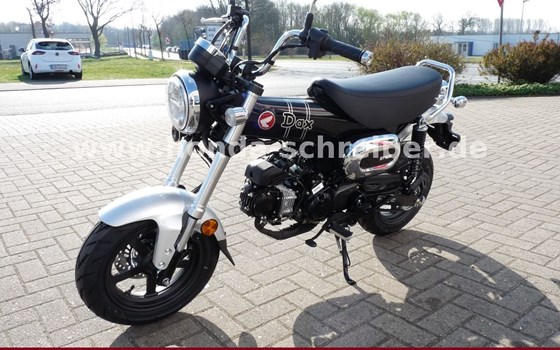 Gebrauchtmotorrad Honda Dax 125 - Bild 4
