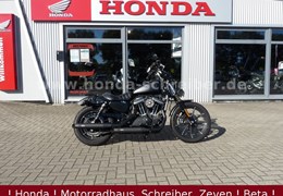 Gebrauchte Harley-Davidson Sportster XL 883 N Iron