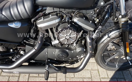 Gebrauchtmotorrad Harley-Davidson Sportster XL 883 N Iron - Bild 6