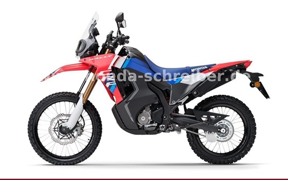 Gebrauchtmotorrad Honda CRF300 Rally - Bild 3