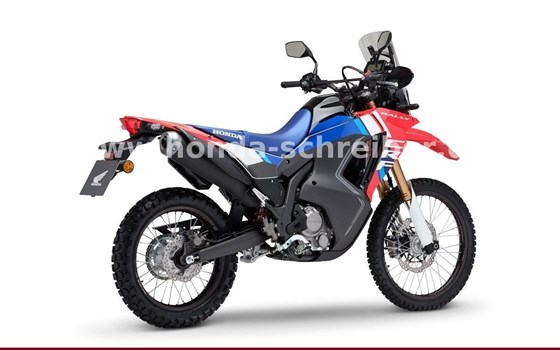 Gebrauchtmotorrad Honda CRF300 Rally - Bild 6