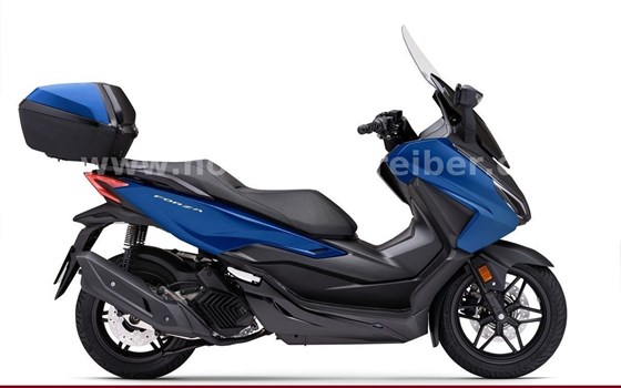 Gebrauchtmotorrad Honda Forza 125 - Bild 2