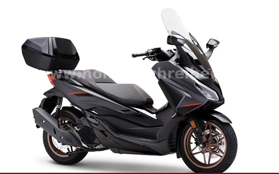 Gebrauchtmotorrad Honda Forza 125 Special Edition - Bild 1