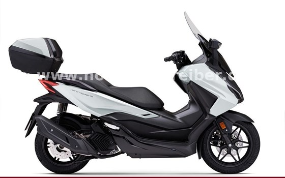 Gebrauchtmotorrad Honda Forza 125 - Bild 2