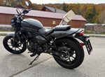 Angebot Kawasaki Eliminator 500 SE