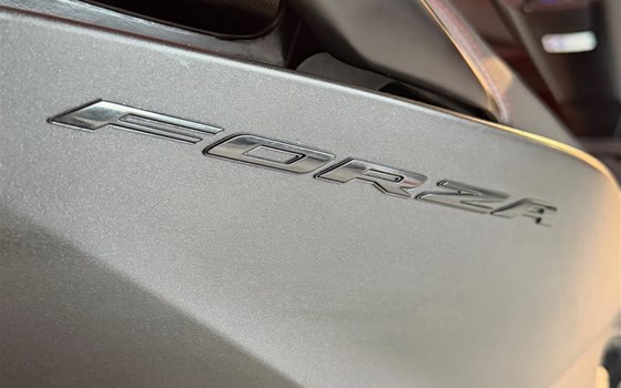 Gebrauchtmotorrad Honda Forza 125 Special Edition - Bild 5