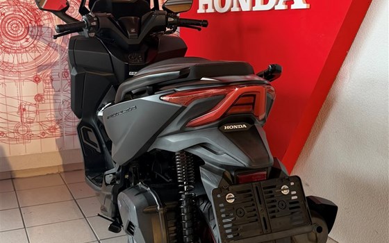Gebrauchtmotorrad Honda Forza 125 Special Edition - Bild 4