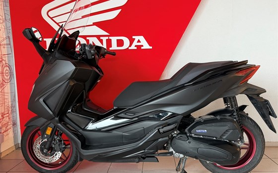 Gebrauchtmotorrad Honda Forza 125 Special Edition - Bild 2