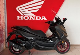 Gebrauchte Honda Forza 125 Special Edition