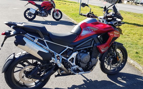 Gebrauchtmotorrad Triumph Tiger 1200 GT PRO - Bild 7