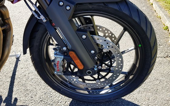 Gebrauchtmotorrad Triumph Tiger 1200 GT PRO - Bild 8