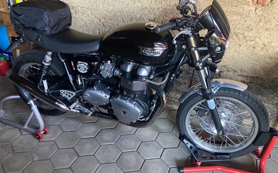 Gebrauchtmotorrad Triumph Thruxton - Bild 1