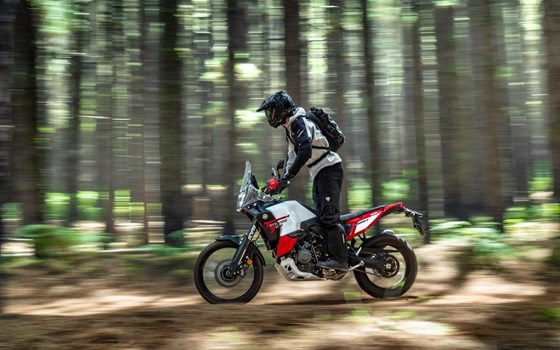 Neufahrzeug Yamaha Tenere 700 World Raid - Bild 15