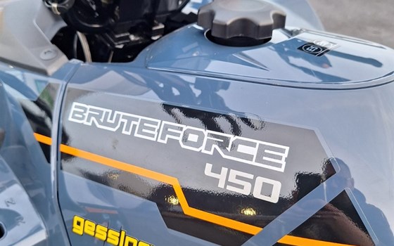 Neufahrzeug Kawasaki Brute Force 450 - Bild 10