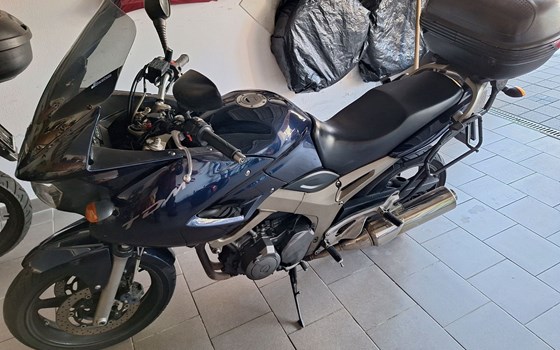 Gebrauchtmotorrad Yamaha TDM 900 - Bild 2