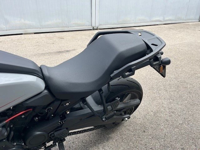 Harley-Davidson Pan America 1250 ST (Billiard Gray) - Bild 10