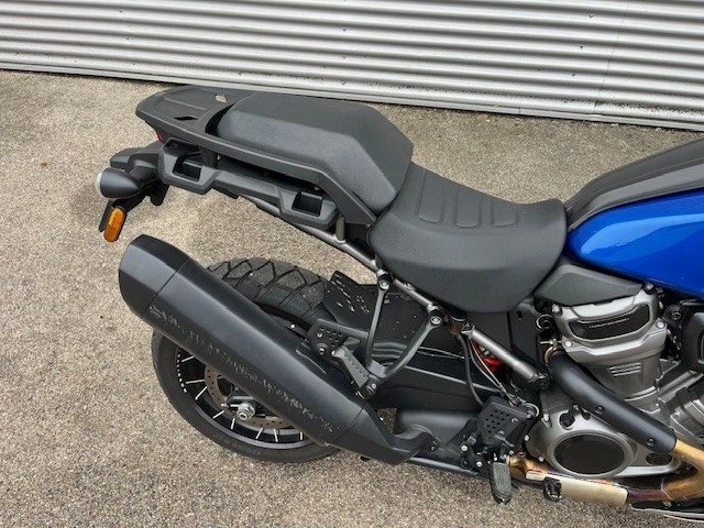 Harley-Davidson Pan America 1250 Special (Blue Burst) - Bild 6