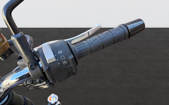 Neufahrzeug Kawasaki Z900 RS - Bild 10