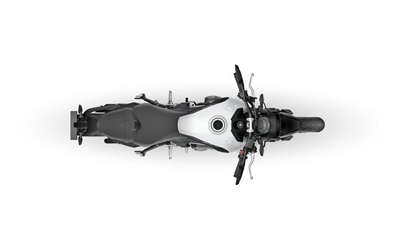 Neufahrzeug Triumph Trident 660 - Bild 9