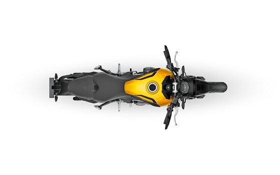 Neufahrzeug Triumph Trident 660 - Bild 18