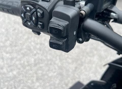 Gebrauchtmotorrad Harley-Davidson Pan America 1250 Special - Bild 8