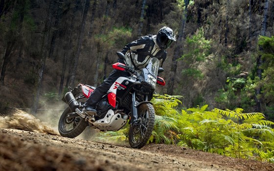 Neufahrzeug Yamaha Tenere 700 World Raid - Bild 11