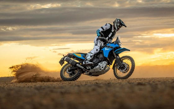 Neufahrzeug Yamaha Tenere 700 Rally 35kW - Bild 2