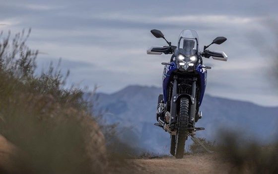 Neufahrzeug Yamaha Tenere 700 - Bild 20