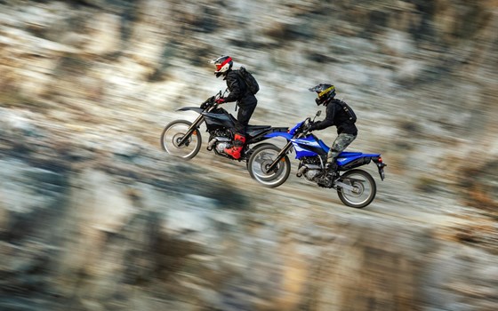Neufahrzeug Yamaha WR125R - Bild 5