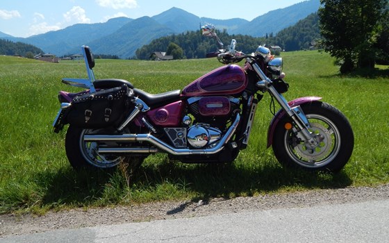 Gebrauchtmotorrad Suzuki VZ 800 Marauder - Bild 3