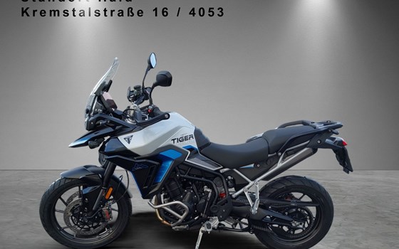Neufahrzeug Triumph Tiger 900 Alpine Edition - Bild 2