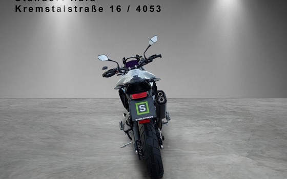 Gebrauchtmotorrad Triumph Tiger 900 Alpine Edition - Bild 4