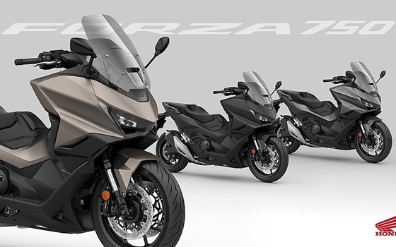 Neufahrzeug Honda Forza 750 - Bild 5