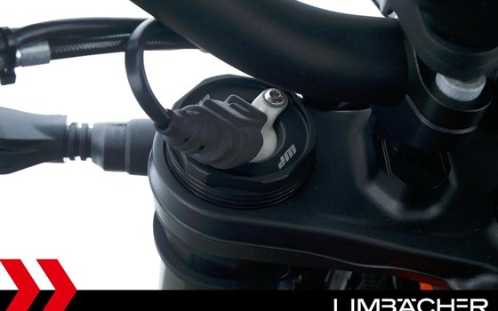 Gebrauchtmotorrad KTM 1290 Super Duke R EVO - Bild 22