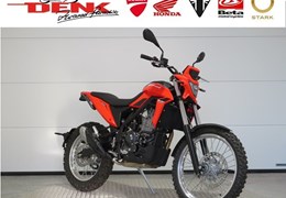 Neumotorrad Beta Alp 4.0