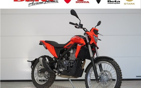 Neufahrzeug Beta Alp 4.0 - Bild 1