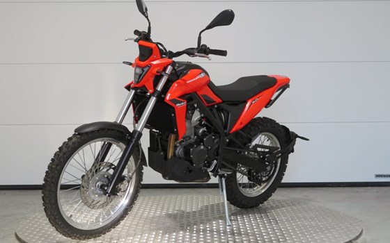 Neufahrzeug Beta Alp 4.0 - Bild 3