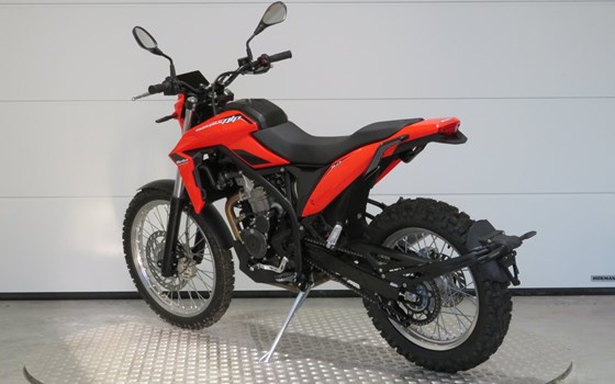 Neufahrzeug Beta Alp 4.0 - Bild 5