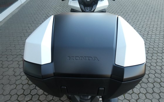 Neufahrzeug Honda Forza 125 - Bild 10