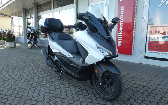 Neufahrzeug Honda Forza 125 - Bild 1