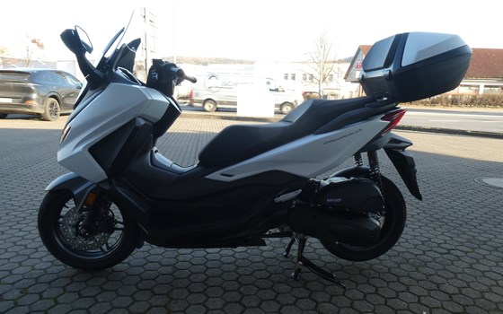 Neufahrzeug Honda Forza 125 - Bild 6