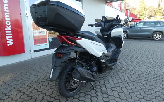 Neufahrzeug Honda Forza 125 - Bild 9
