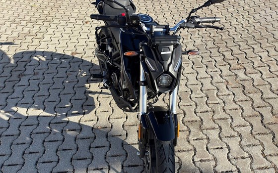 Neufahrzeug Voge R125 ABS - Bild 4