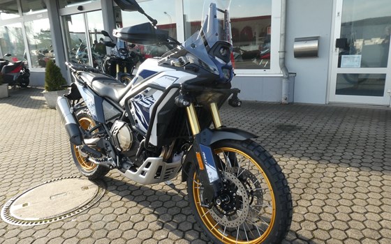 Neufahrzeug Voge DS800X Rally - Bild 2