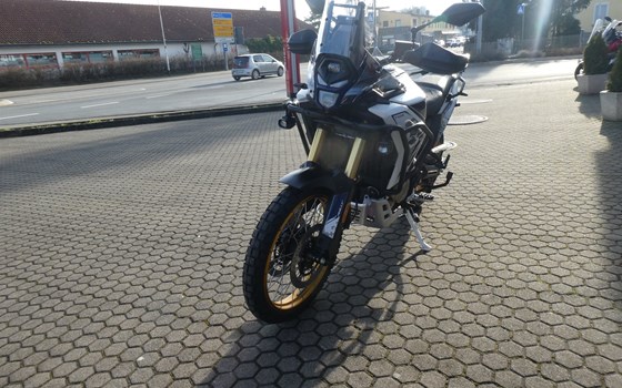 Neufahrzeug Voge DS800X Rally - Bild 3