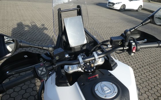 Neufahrzeug Voge DS800X Rally - Bild 8